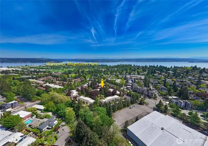 Looking east, with Magnuson Park and Lake Washington so close!
