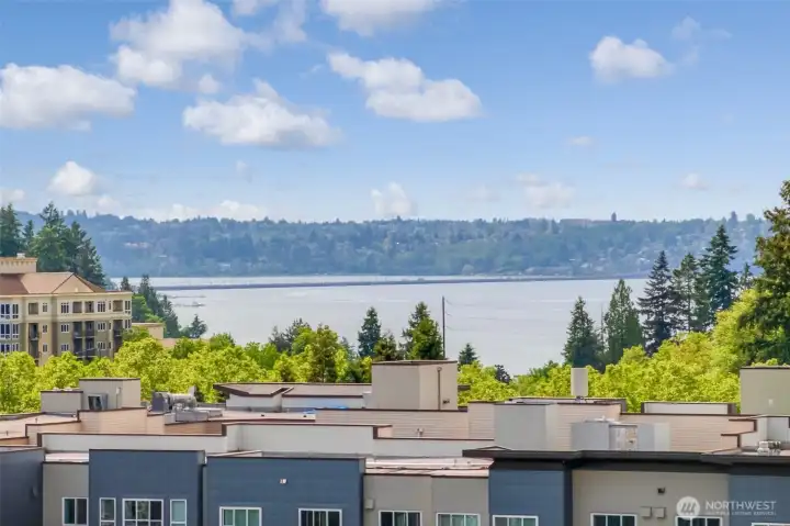Lake Washington view from patio