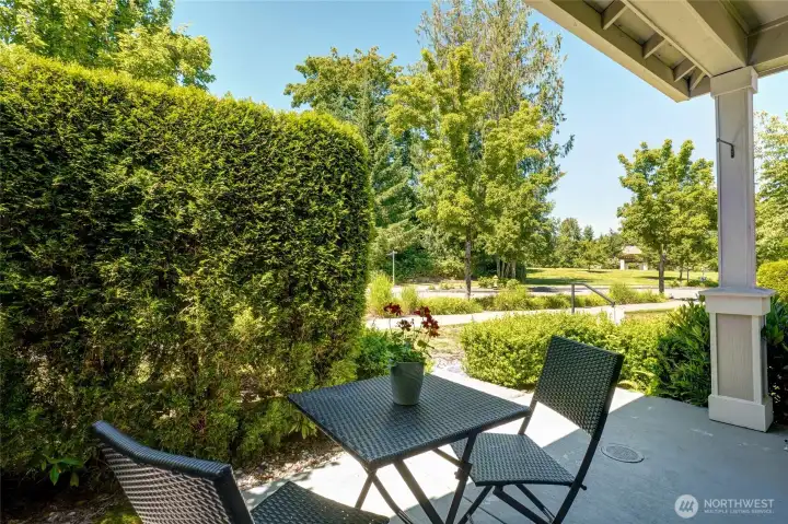 Back Patio