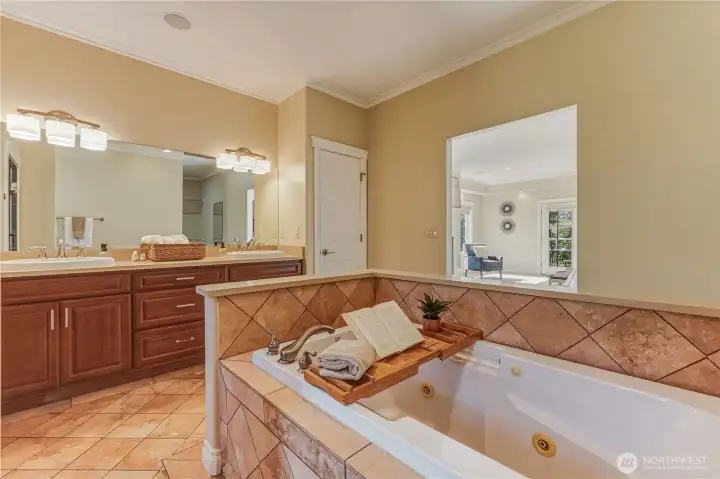 Primary Bath Tub Primary Bath Tub
