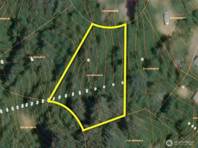 Approximate boundaries in yellow with topo.