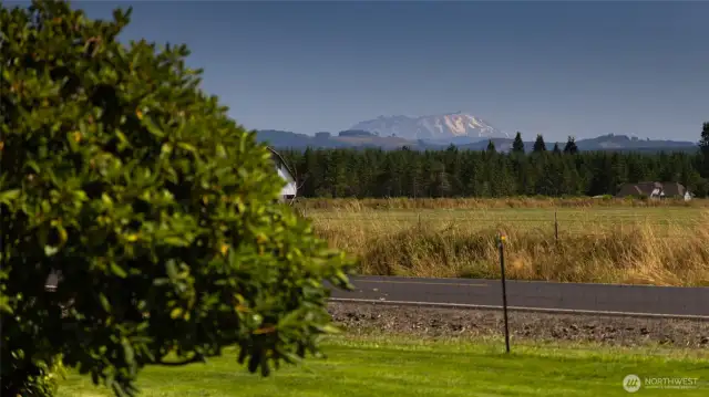 photo taken from front yard of 501 Gore Road next door