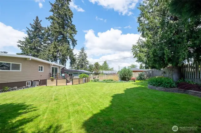 Giant yard with so much space to run around or take naps in.