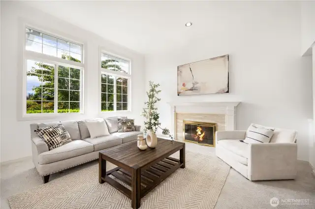 Light-filled bright and cozy living room