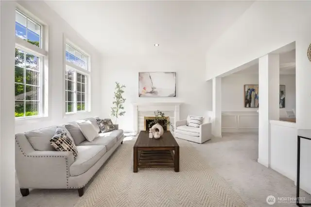 Light-filled bright and cozy living room