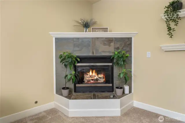 Cozy gas fireplace