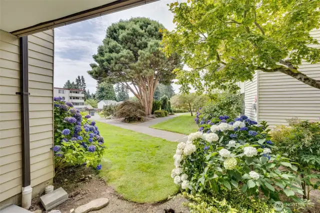 Easy ground level access to a beautiful Courtyard