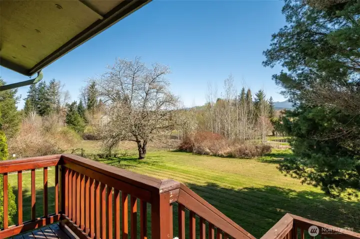 Eastern view from your front porch. Watching the sunrises and enjoying a cup of coffee is what I see.