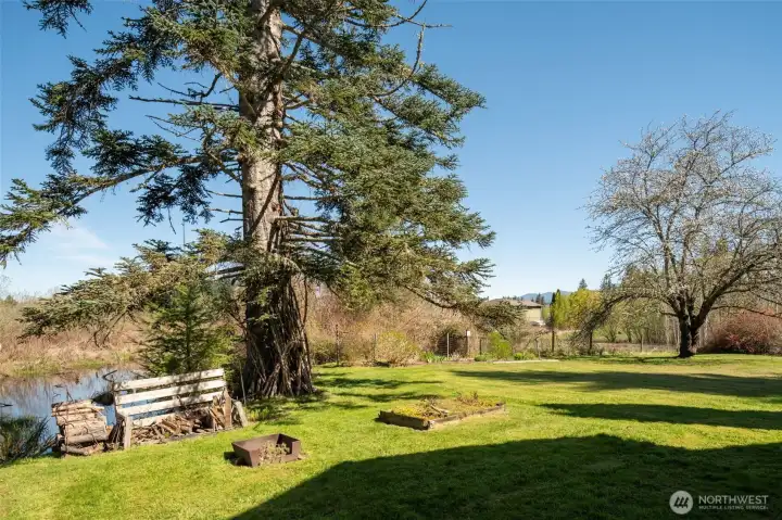 Plenty of yard for whatever you need!