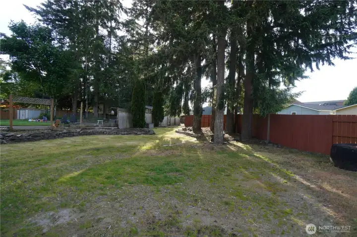 Large backyard Large backyard
