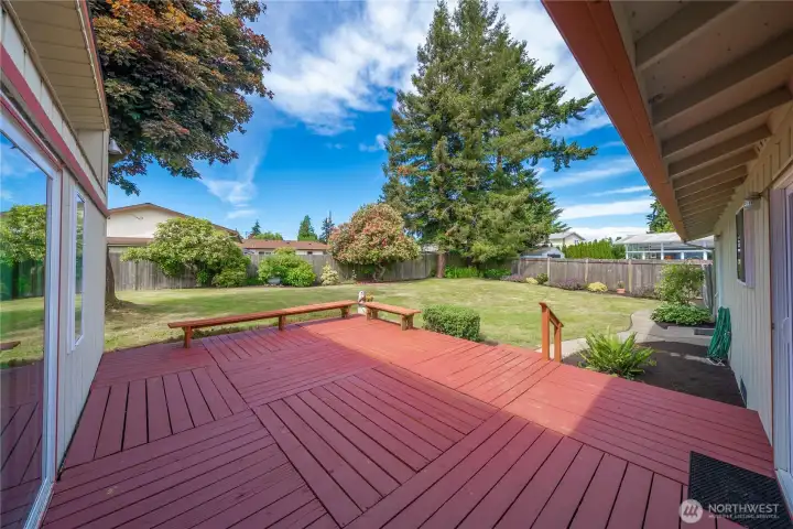 Expansive deck has been freshly updated, ready for gatherings and relaxation.