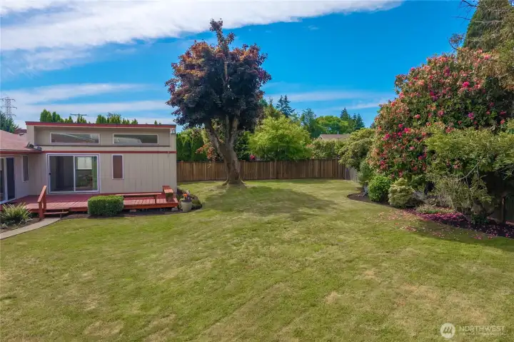 Large backyard perfect for gardening, kids’ play, and summer BBQs.
