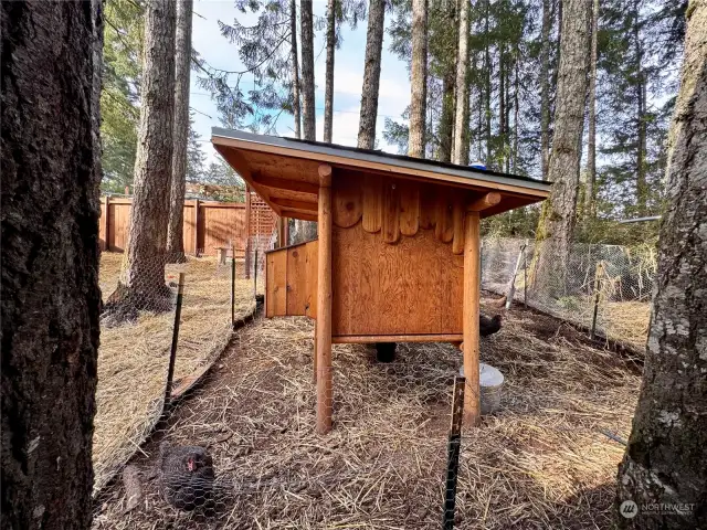 Chicken coop.