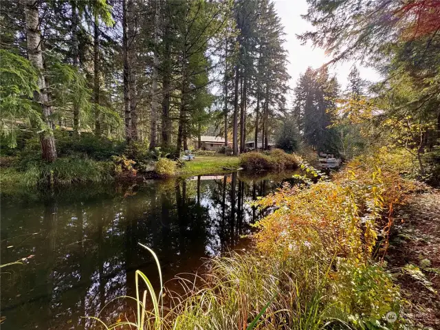 Easy entry into the lake via this canal.