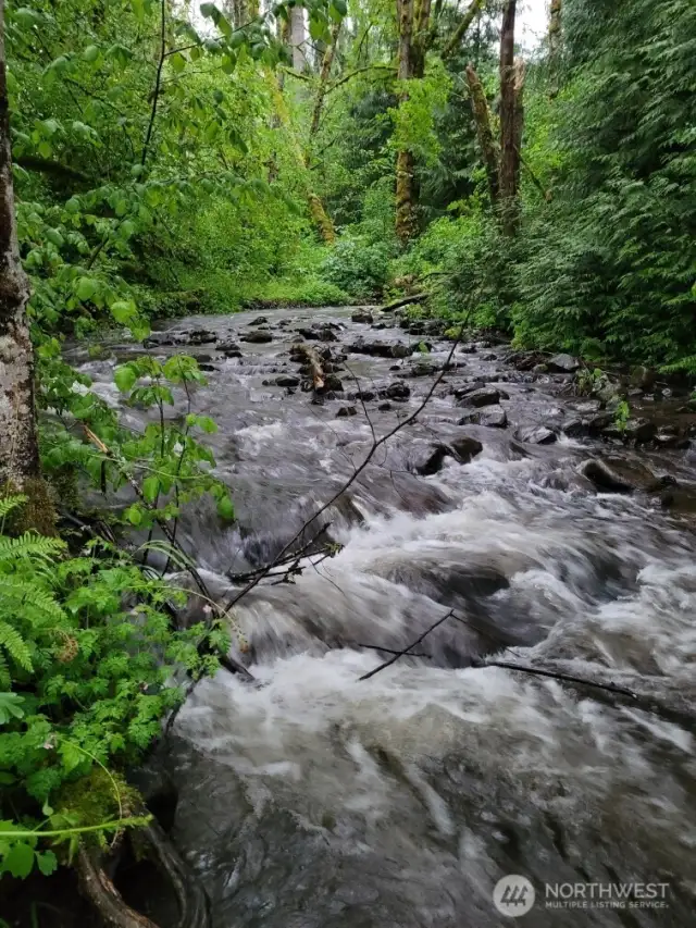 Upper Hanstad creek