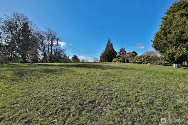 Plenty of space for a main house, a guest house and maybe even a dream shop?