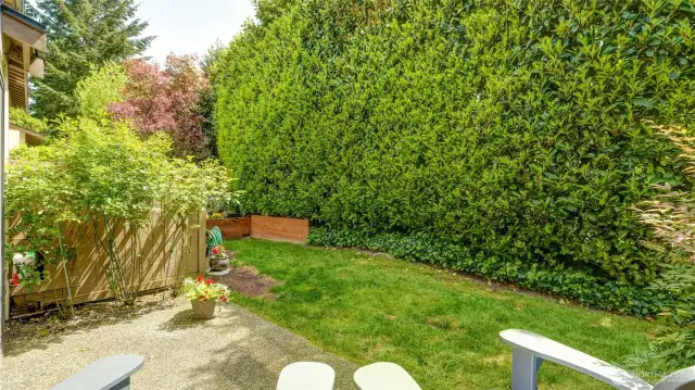 Patio with yard