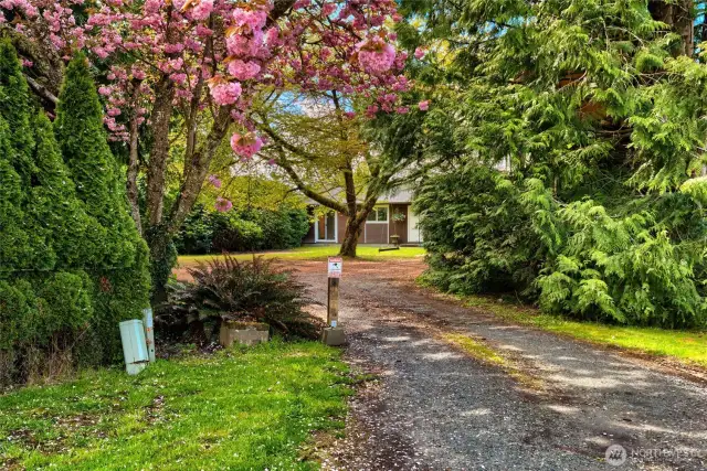 Front view towards home from driveway
