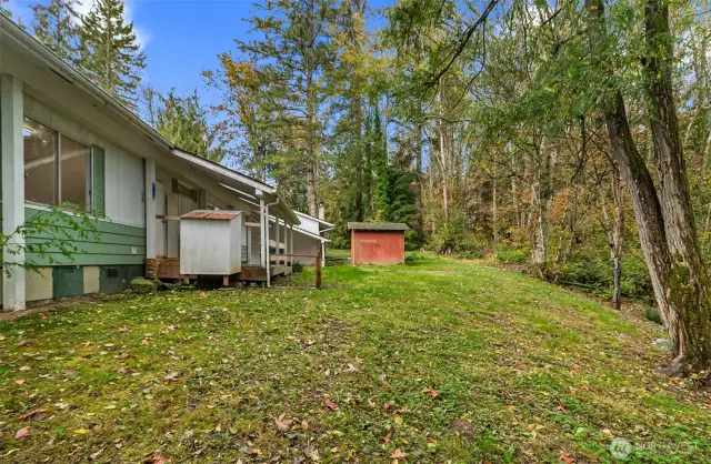 Back yard