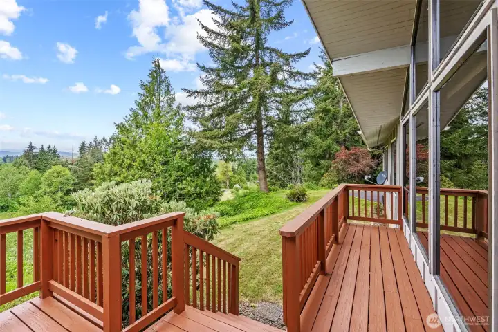 Back deck area with steps to lawn.