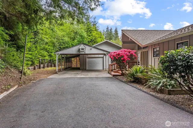 Concrete garage aprons surrounded by paved parking, detached and attached carports, single car garage w/guest space.