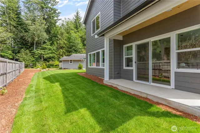 Backyard.