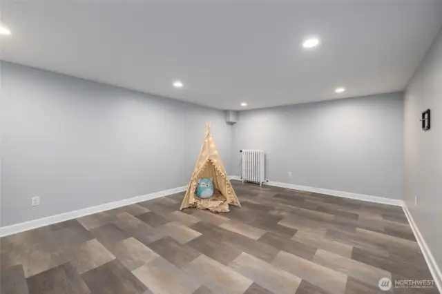 Another view of the rec room/bonus room.  Cable for TV on the wall at right.