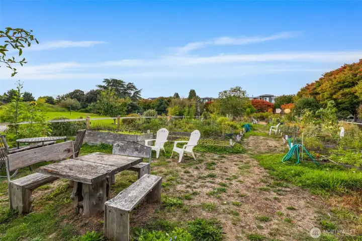A community garden for fresh herbs and neighbors’ smiles