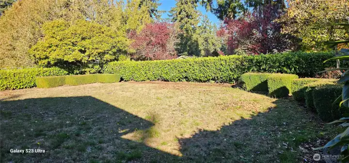 Large Front yard Hedges