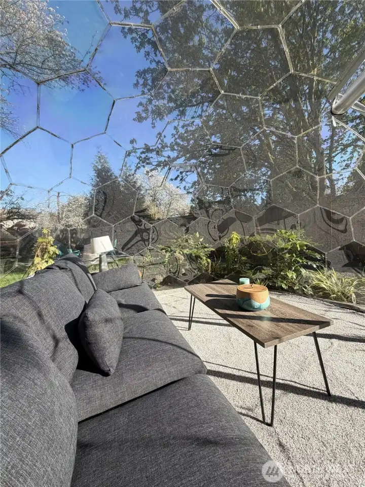 Inside bubble looking out.