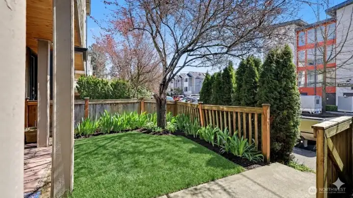 Grass virtually enhanced