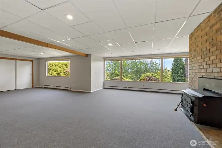 Huge lower level bonus room