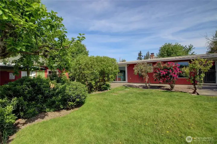 A view of the back yard. Fruit trees, grapes, raspberries and the shop on the left of the photo.