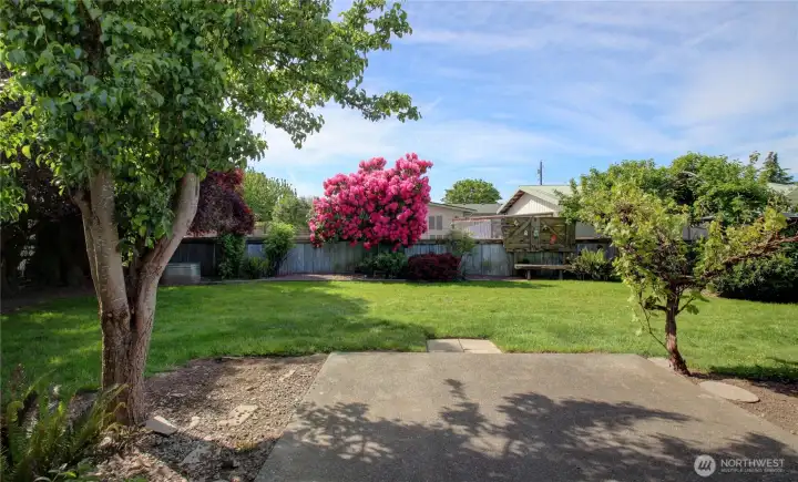 Ample garden space filled with fruit trees, grapes and plenty of flowering shrubs.