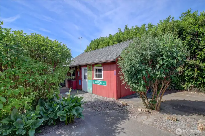 The shop in the back yard.
