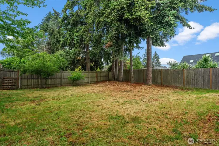 Large Fenced Backyard! Large Fenced Backyard!