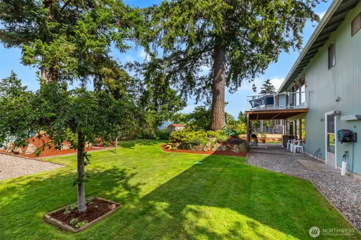 Back yard shows upper deck and back patio