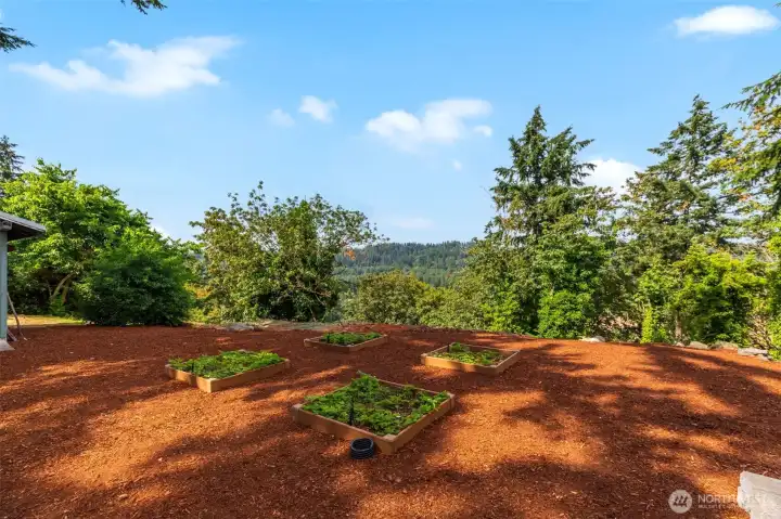 view from the strawberry patch