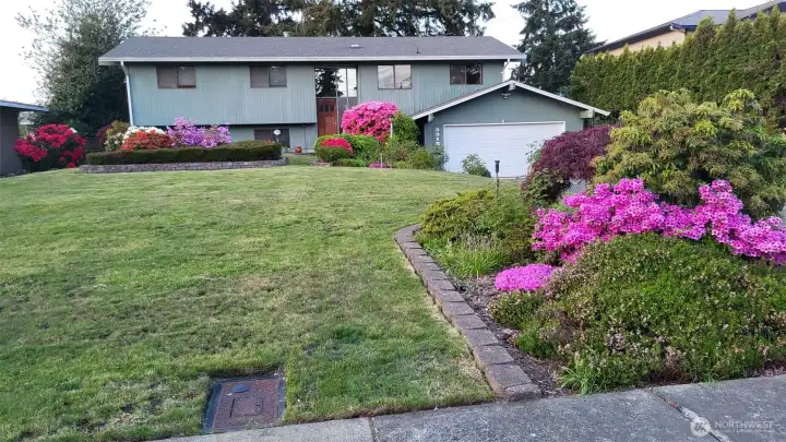 Spring blooms showing off the front yard