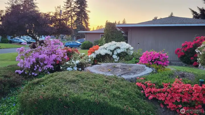 More spring flowers out front of the door.