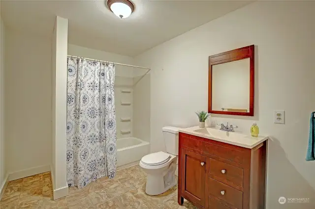Lower-level main bathroom.