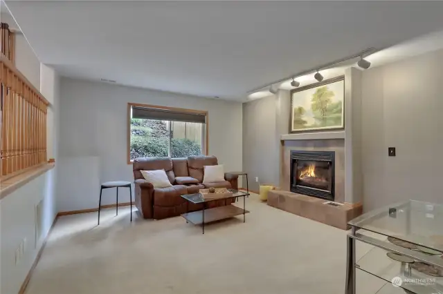 This is a great family room that has a gas fireplace great for entertaining!