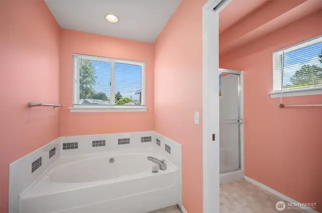 Primary room bathroom with large soaking tub.