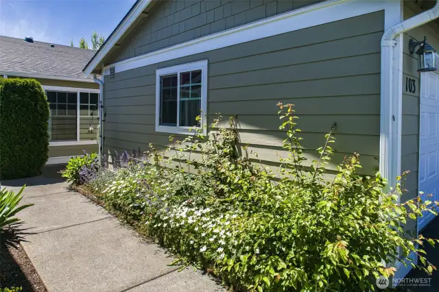 Paved and wide accessible path from the driveway to back main entrance.
