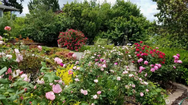 Landscaping is beautiful in full bloom