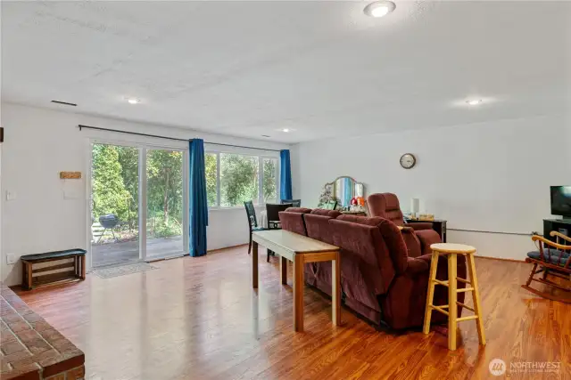 Downstairs rec room