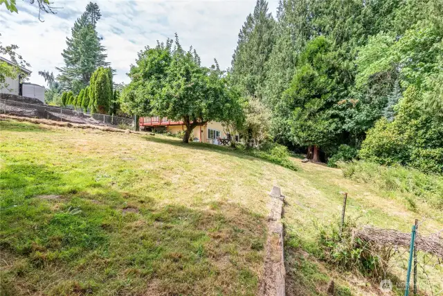 Large yard