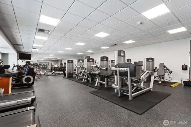 large Gym