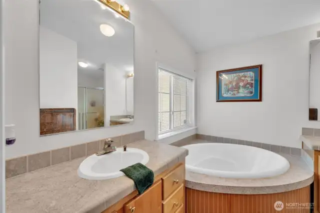 Primary bathroom with garden tub and separate shower.