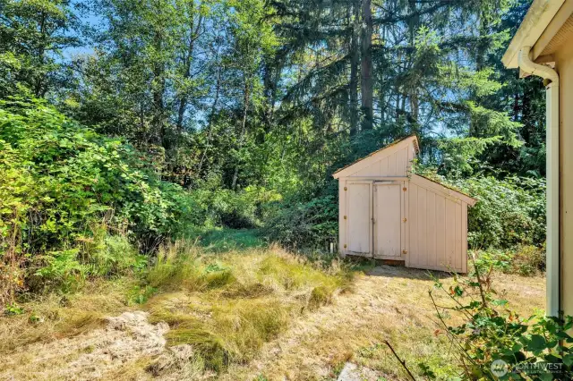 Shed